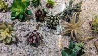 img 1 attached to Decorate Your Home With Supla 15 Pcs Assorted Artificial Succulent Plants - Bulk Pack review by Eric Montgomery
