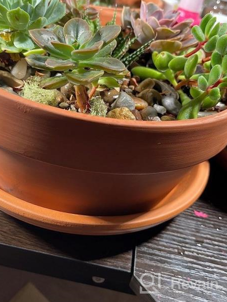 img 1 attached to Set Of 2 Large & Unglazed Terracotta Pots For Succulent & Cactus - Perfect For Indoor Gardens & Bonsai review by Shirlene Livingston