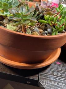 img 5 attached to Set Of 2 Large & Unglazed Terracotta Pots For Succulent & Cactus - Perfect For Indoor Gardens & Bonsai