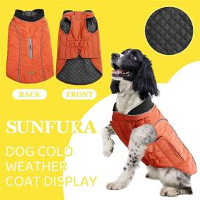 img 3 attached to SUNFURA Warm Dog Jacket Pet Winter Coat: 🐶 Windproof, Reflective, Leash Hole - Perfect for Cold Weather