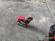 img 1 attached to Waterproof Reflective Winter Dog Jacket With Reversible Stormguard, Windproof Coat For Cold Weather, Warm Coat Vest For Small, Medium, Large Dogs - Red (Size S) By MIGOHI review by Cardell Haynes