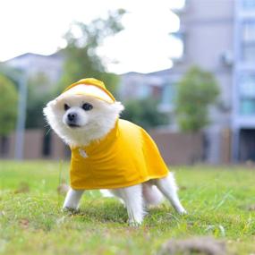img 1 attached to Yellow Raincoat Waterproof Jacket Transparent Dogs for Apparel & Accessories
