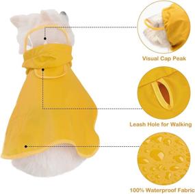 img 3 attached to Yellow Raincoat Waterproof Jacket Transparent Dogs for Apparel & Accessories