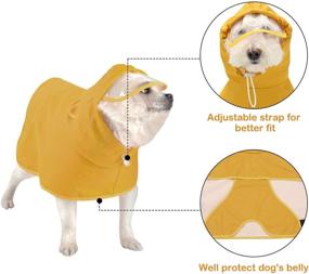 img 2 attached to Yellow Raincoat Waterproof Jacket Transparent Dogs for Apparel & Accessories
