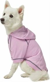 img 4 attached to Blueberry Pet Essentials Better Sweatshirt Dogs