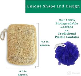 img 3 attached to 100 Natural Loofah Exfoliating Sponge Tools & Accessories