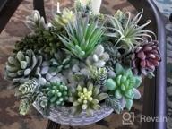 img 1 attached to 14 Pcs Artificial Succulents Plants Unpotted Green Hops String Of Pearls Echeveria Air Plant Picks Bulk For Garden Arrangement Centerpiece Indoor Outdoor Home Decor review by Fernando Marshall