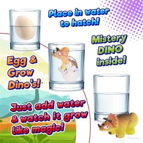 img 3 attached to 🦖 JA-RU Magic Grow Hatching Growing Dinosaur Eggs Toy – Set of 6 Easter Surprise Eggs for Kids – Bath Time Dinosaur Fun!