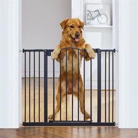 img 4 attached to 🚧 InnoTruth Wide Baby Gate for Dogs - Auto Close Pet Gate 29” to 39.6” Width, 30” Height - Tall Safety Coverage for Stairs, Hallways, Bedrooms - Wall Pressure Mount, Black