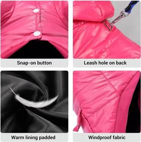 img 2 attached to Stay Warm & Stylish With Lesypet Pink Dog Winter Coat For Small Dogs