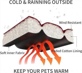 img 1 attached to Сохраняйте тепло и стильность с зимним пальто Lesypet Pink Dog для маленьких собак