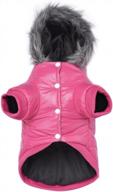 сохраняйте тепло и стильность с зимним пальто lesypet pink dog для маленьких собак логотип