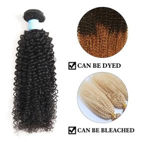 img 1 attached to BLY 7A Mongolian Afro Kinky Curly Human Hair 3 Bundles Unprocessed Hair Weave Weft Big Hair For African American Women Natural Color (12/14/16 Inch, Kinky Curly Black)