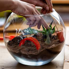 img 3 attached to Needzo Terrarium Supplies Plastic Colorful