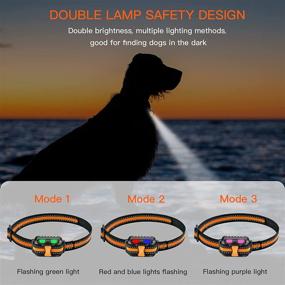 img 2 attached to 🐶 Rechargeable Waterproof Dog Training Collar with Remote - Electric Beep, Vibration, and Shock for Large, Medium, Small Dogs