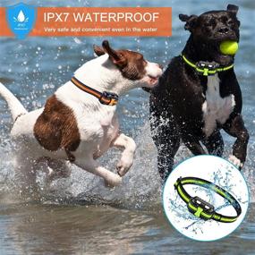 img 1 attached to 🐶 Rechargeable Waterproof Dog Training Collar with Remote - Electric Beep, Vibration, and Shock for Large, Medium, Small Dogs