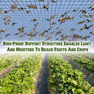 protective mesh for fruit trees and poultry - benefitusa's stronger bird netting (50' x 100') logo