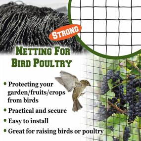 img 3 attached to Защитная сетка для фруктовых деревьев и птицы — более прочная сетка от птиц BenefitUSA (50 футов X 100 футов)