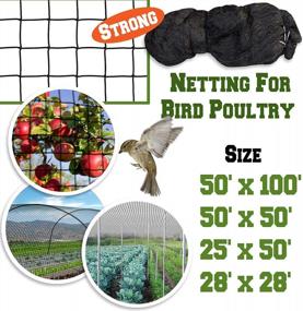 img 2 attached to Защитная сетка для фруктовых деревьев и птицы — более прочная сетка от птиц BenefitUSA (50 футов X 100 футов)