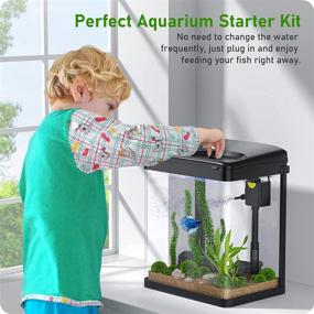 img 3 attached to 🐠 Betta Fish Tank: 2 Gallon Glass Aquarium with Filter and Light - Ideal for Betta Fish, Shrimp, Goldfish - Desktop Small Fish Tank (White)