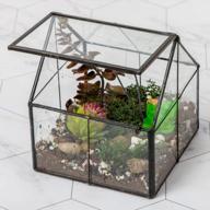 🌿 ferrisland glass plant terrarium container: perfect small succulent wardian case for indoor tabletop decor & diy gifts - 5.0"x4.3"x4.3 logo