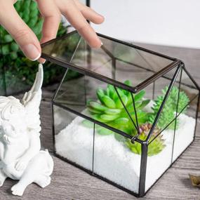 img 1 attached to 🌿 Ferrisland Glass Plant Terrarium Container: Perfect Small Succulent Wardian Case for Indoor Tabletop Decor & DIY Gifts - 5.0"x4.3"x4.3