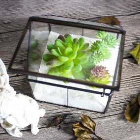 img 2 attached to 🌿 Ferrisland Glass Plant Terrarium Container: Perfect Small Succulent Wardian Case for Indoor Tabletop Decor & DIY Gifts - 5.0"x4.3"x4.3