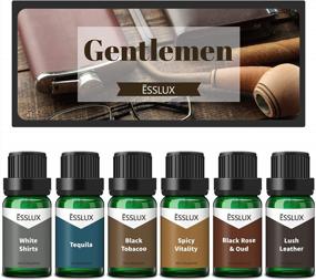img 4 attached to ESSLUX Gentlemen Collection: 6 Premium Fragrance Oils For Masculine Soap, Candle Making, Diffusers, And More - Lush Leather, Black Rose & Oud, Tequila, And Other Essential Scents For Men