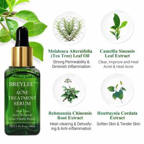 img 1 attached to BREYLEE Tea Tree Acne Treatment Serum For Clearing Severe Blemishes, Breakouts & Pimples - 40Ml (1.41Fl Oz) Cystic Acne Treatment Skin Clearance Products