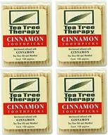 tea tree therapy toothpicks cinnamon oral care ~ dental floss & picks logo