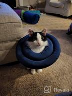 img 1 attached to Comfortable And Water-Resistant Pet Recovery Collar: Adjustable Neck Donut E-Collar For Small And Medium Dogs And Cats After Surgery In Navy (Size S) review by Kaushik Inlawker