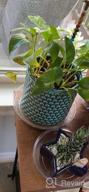 картинка 1 прикреплена к отзыву 6 Inch Ceramic Planters Pots With Drainage Hole For Indoor Plants, Succulent Cactus - POTEY 054304 Vintage Style Polka Dot Patterned Bonsai Container (Plants NOT Included) от Nate Mims