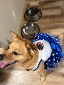 img 3 attached to Petitebella USA Heart Puppy Dog Dress Black Stripes Medium
