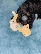 img 1 attached to Sedioso Plush Dog Toy - Cute, Durable & Perfect For Small, Medium, And Large Breeds review by Harel Leary