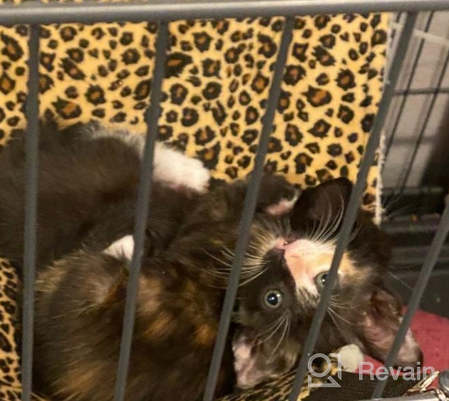 img 1 attached to Cozy Kitty Oasis: 2-Pack Of NOYAL Hanging Cat Hammock Beds, Up To 20Lbs Capacity review by Ricardo Thotti