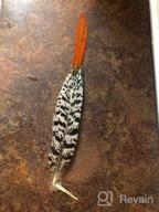 картинка 1 прикреплена к отзыву Sowder 10Pcs Red Lady Amherst фазан оперение перья 8-10 дюймов для украшения дома свадьбы от Steve Lawrence