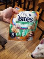 img 1 attached to Delicious & Nutritious INABA Churu Bites - Grain-Free Soft Chewy Chicken & Tuna Treats For Dogs With Vitamin E - 64 Tubes (8 Per Pack) review by Cheryl Wilson