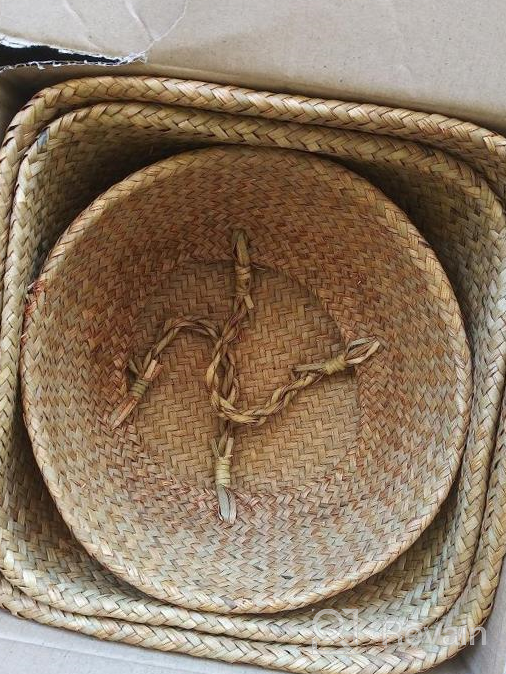 img 1 attached to 3 Pack Foldable Woven Seagrass Plant Basket With Handles - Ideal For Storage, Laundry, Picnic & More! review by Joe Stax