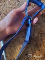 img 1 attached to Heavy Duty Nylon Anti-Escape Martingale Collar For Large Dogs - Professional Training, Daily Use Walking (Large, Sleet Gray) review by Nicholas Lim
