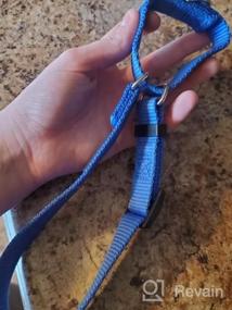 img 5 attached to Heavy Duty Nylon Anti-Escape Martingale Collar For Large Dogs - Professional Training, Daily Use Walking (Large, Sleet Gray)