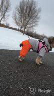 картинка 1 прикреплена к отзыву Dog Winter Warm Jacket Coat Hooded Jumpsuit Snowsuit Waterproof Pet Clothes XXL Grey от Matt Tebow