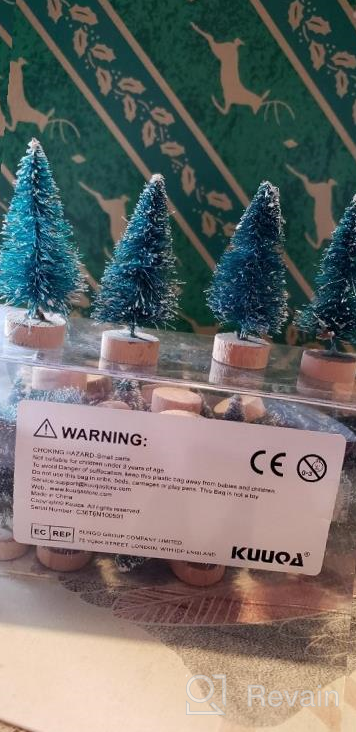 img 1 attached to 24Pcs KUUQA Mini Sisal Trees: Christmas Decorations For Tabletop Models & Diorama Snow Ornaments review by Tim Shah