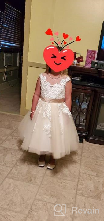 img 1 attached to 🏻 PLUVIOPHILY Miama Champagne Lace Tulle Wedding Flower Girl Dress: Perfect Junior Bridesmaid Attire review by Jill Kohlmeyer