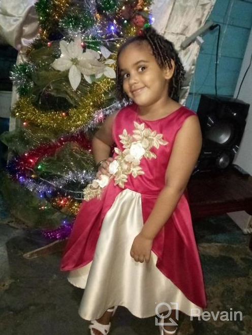 img 1 attached to 👗 Adorable Toddler Pageant Christmas Birthday Dresses for Girls: Premium Clothing Collection review by Eddie Kittylovin