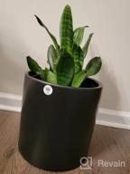 img 1 attached to 🌿 Cultivate Elegance with Our 8 Inch Glazed Ceramic Indoor Planter Pot - Perfect for Succulents, Flowers, or Bonsai review by Andre Arias