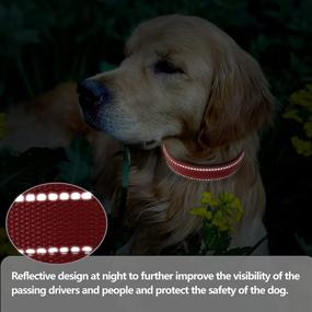 img 1 attached to 🐶 Stay Visible and Safe with MUMUPET Reflective Dog Collar Set – 6 Pieces, Adjustable for Small, Medium, Large Dogs in 6 Colors and 2 Sizes