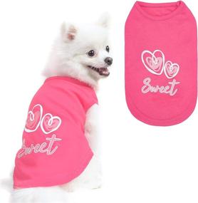 img 4 attached to 🐾 Pet T-Shirt Small Dog Cat Vest Clothes Prince Fashion Puppy Costumes for Chihuahua Yorkshire Terrier