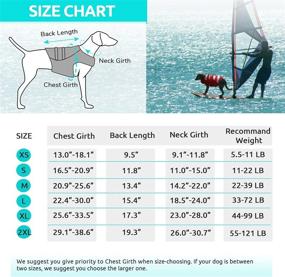 img 2 attached to 🐶 Queenmore Dog Life Jacket: Adjustable Rip-Stop Vest for Pet Water Safety, with Rescue Handle - Ideal for Swimming, Beach, Boating