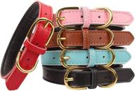 🐾 aolove basic classic padded leather pet collars for cats and small to medium dogs (brown, x-small): enhanced for better online visibility logo