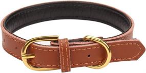 img 3 attached to 🐾 AOLove Basic Classic Padded Leather Pet Collars for Cats and Small to Medium Dogs (Brown, X-Small): Enhanced for Better Online Visibility